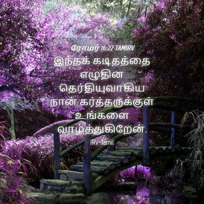 Picture 04 - ரோமர் 16:22 TAMIRV - இந்தக் கடிதத்தை - Bible Verse Picture