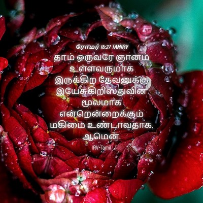 Picture 04 - ரோமர் 16:27 TAMIRV - தாம் ஒருவரே ஞானம் - Bible Verse Picture