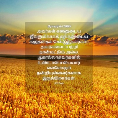 Picture 04 - ரோமர் 16:4 TAMIRV - அவர்கள் என்னுடைய - Bible Verse Picture