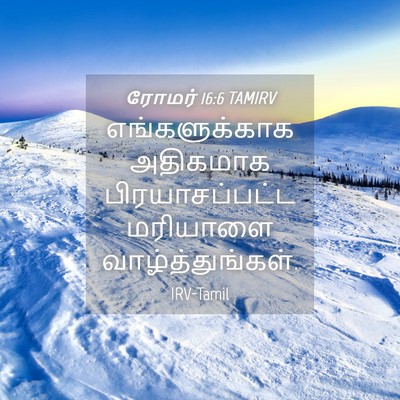 Picture 04 - ரோமர் 16:6 TAMIRV - எங்களுக்காக - Bible Verse Picture