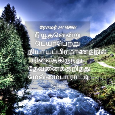 Picture 04 - ரோமர் 2:17 TAMIRV - நீ யூதனென்று - Bible Verse Picture