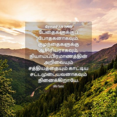 Picture 04 - ரோமர் 2:20 TAMIRV - பேதைகளுக்குப் - Bible Verse Picture