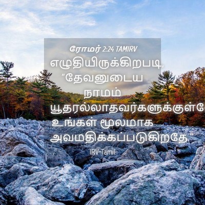 Picture 04 - ரோமர் 2:24 TAMIRV -  - Bible Verse Picture