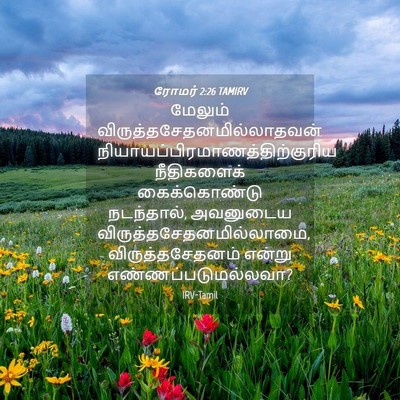 Picture 04 - ரோமர் 2:26 TAMIRV - மேலும் - Bible Verse Picture