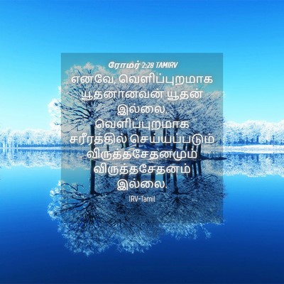 Picture 04 - ரோமர் 2:28 TAMIRV - எனவே, - Bible Verse Picture