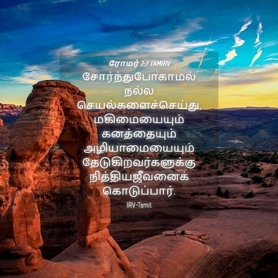 Picture 04 - ரோமர் 2:7 TAMIRV - சோர்ந்துபோகாமல் - Bible Verse Picture