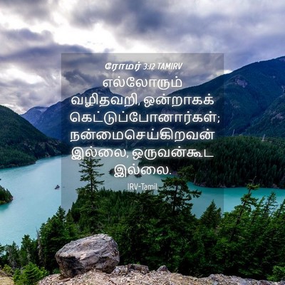 Picture 04 - ரோமர் 3:12 TAMIRV - எல்லோரும் - Bible Verse Picture