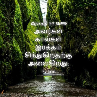 Picture 04 - ரோமர் 3:15 TAMIRV - அவர்கள் கால்கள் - Bible Verse Picture