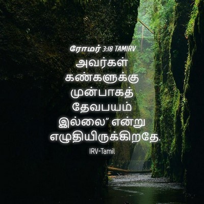 Picture 04 - ரோமர் 3:18 TAMIRV - அவர்கள் - Bible Verse Picture