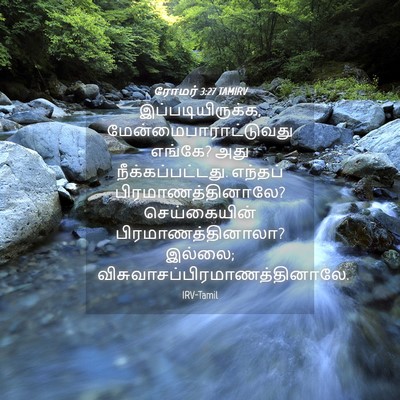 Picture 04 - ரோமர் 3:27 TAMIRV - இப்படியிருக்க, - Bible Verse Picture