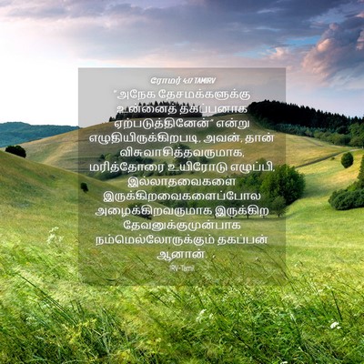 Picture 04 - ரோமர் 4:17 TAMIRV - “அநேக - Bible Verse Picture