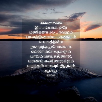 Picture 04 - ரோமர் 5:12 TAMIRV - இப்படியாக, ஒரே - Bible Verse Picture