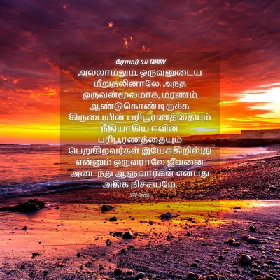 Picture 04 - ரோமர் 5:17 TAMIRV - அல்லாமலும், - Bible Verse Picture