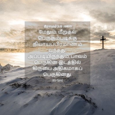 Picture 04 - ரோமர் 5:20 TAMIRV - மேலும், மீறுதல் - Bible Verse Picture