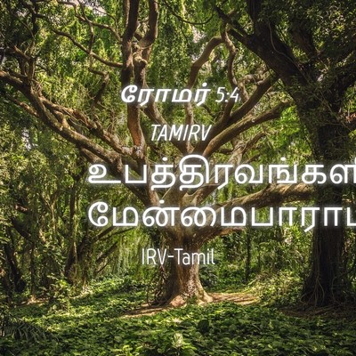 Picture 04 - ரோமர் 5:4 TAMIRV -  - Bible Verse Picture