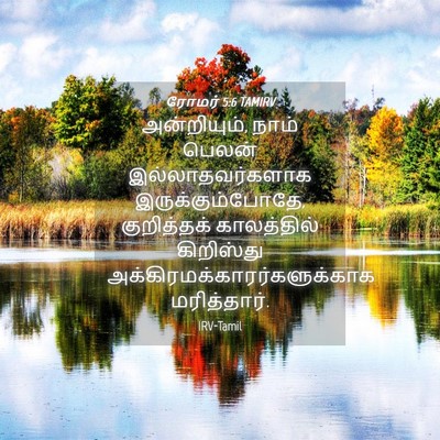 Picture 04 - ரோமர் 5:6 TAMIRV - அன்றியும், நாம் - Bible Verse Picture
