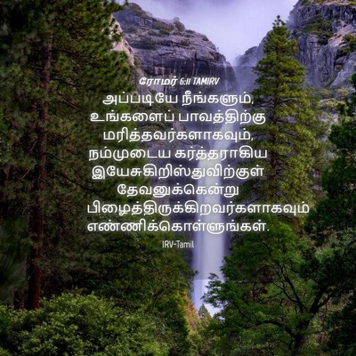 Picture 04 - ரோமர் 6:11 TAMIRV - அப்படியே - Bible Verse Picture