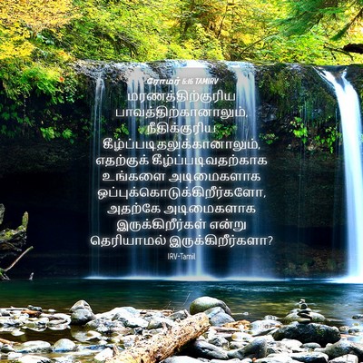 Picture 04 - ரோமர் 6:16 TAMIRV - மரணத்திற்குரிய - Bible Verse Picture