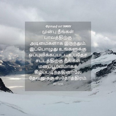 Picture 04 - ரோமர் 6:17 TAMIRV - முன்பு நீங்கள் - Bible Verse Picture