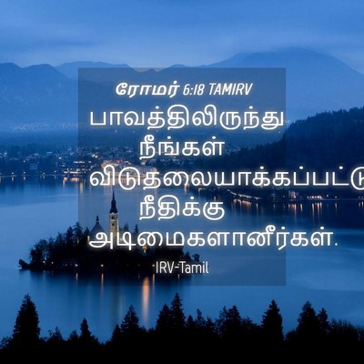 Picture 04 - ரோமர் 6:18 TAMIRV - பாவத்திலிருந்து - Bible Verse Picture
