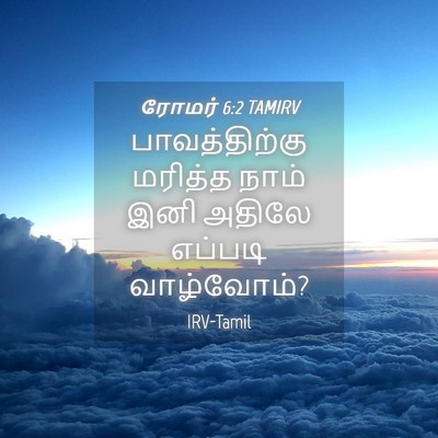 Picture 04 - ரோமர் 6:2 TAMIRV - பாவத்திற்கு - Bible Verse Picture