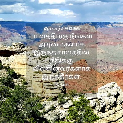 Picture 04 - ரோமர் 6:20 TAMIRV - பாவத்திற்கு - Bible Verse Picture