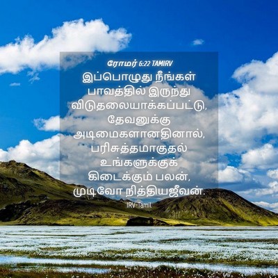 Picture 04 - ரோமர் 6:22 TAMIRV - இப்பொழுது நீங்கள் - Bible Verse Picture