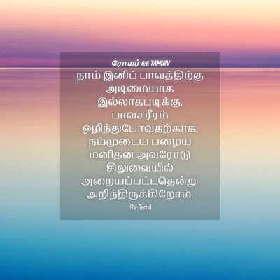 Picture 04 - ரோமர் 6:6 TAMIRV - நாம் இனிப் - Bible Verse Picture
