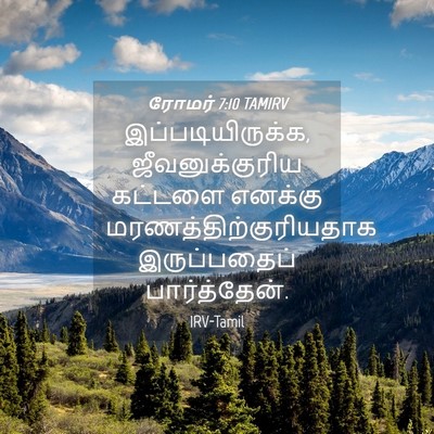 Picture 04 - ரோமர் 7:10 TAMIRV - இப்படியிருக்க, - Bible Verse Picture