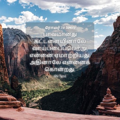 Picture 04 - ரோமர் 7:11 TAMIRV - பாவமானது - Bible Verse Picture