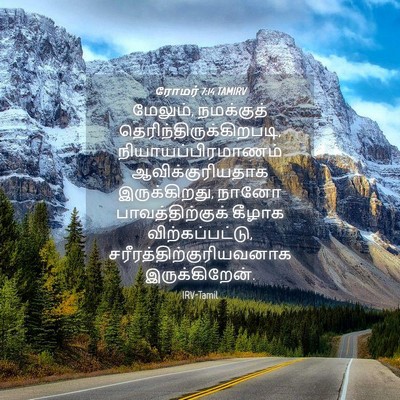 Picture 04 - ரோமர் 7:14 TAMIRV - மேலும், நமக்குத் - Bible Verse Picture