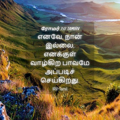 Picture 04 - ரோமர் 7:17 TAMIRV - எனவே, நான் இல்லை, - Bible Verse Picture
