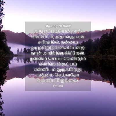 Picture 04 - ரோமர் 7:18 TAMIRV - அது - Bible Verse Picture