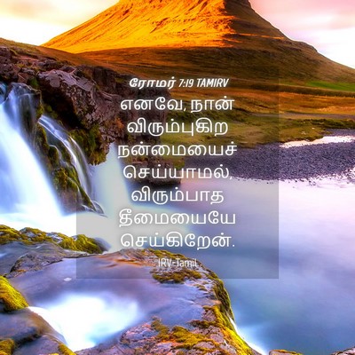Picture 04 - ரோமர் 7:19 TAMIRV - எனவே, நான் - Bible Verse Picture