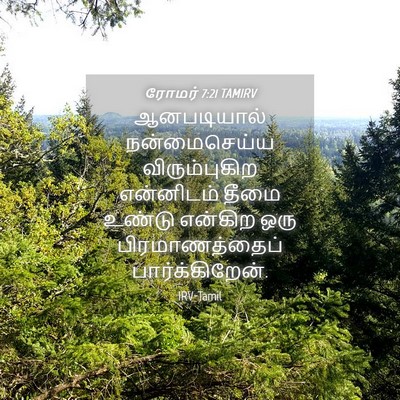 Picture 04 - ரோமர் 7:21 TAMIRV - ஆனபடியால் - Bible Verse Picture