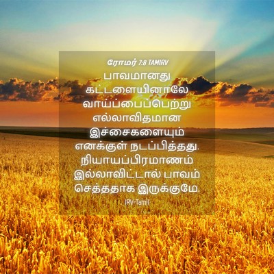 Picture 04 - ரோமர் 7:8 TAMIRV - பாவமானது - Bible Verse Picture