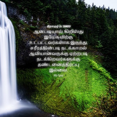 Picture 04 - ரோமர் 8:1 TAMIRV - ஆனபடியால், - Bible Verse Picture