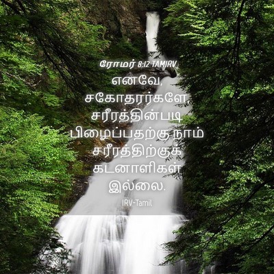 Picture 04 - ரோமர் 8:12 TAMIRV - எனவே, சகோதரர்களே, - Bible Verse Picture
