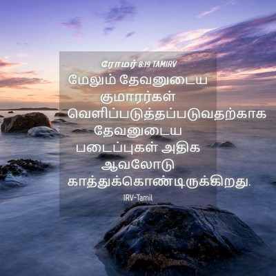 Picture 04 - ரோமர் 8:19 TAMIRV - மேலும் தேவனுடைய - Bible Verse Picture