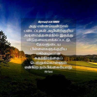 Picture 04 - ரோமர் 8:20 TAMIRV - அது என்னவென்றால் - Bible Verse Picture