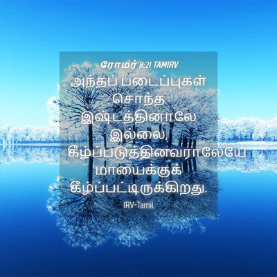 Picture 04 - ரோமர் 8:21 TAMIRV - அந்தப் படைப்புகள் - Bible Verse Picture