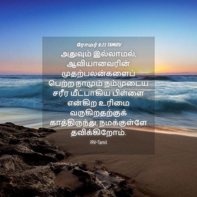 Picture 04 - ரோமர் 8:23 TAMIRV - அதுவும் இல்லாமல், - Bible Verse Picture