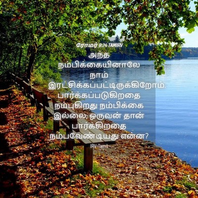 Picture 04 - ரோமர் 8:24 TAMIRV - அந்த - Bible Verse Picture