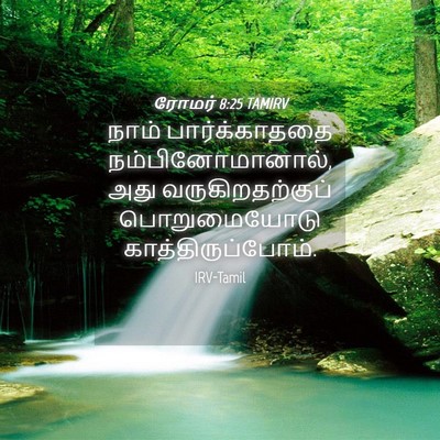 Picture 04 - ரோமர் 8:25 TAMIRV - நாம் பார்க்காததை - Bible Verse Picture