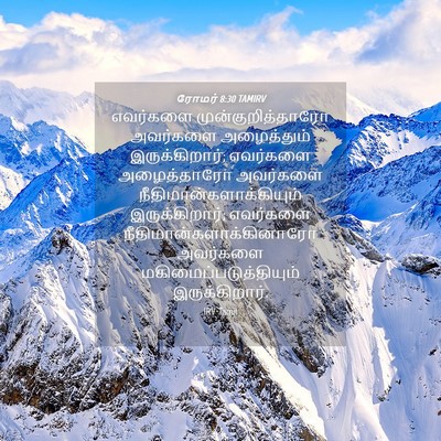 Picture 04 - ரோமர் 8:30 TAMIRV - எவர்களை - Bible Verse Picture