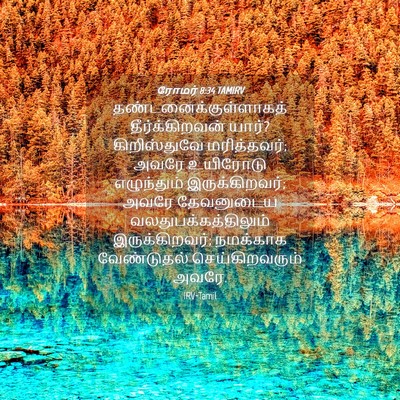 Picture 04 - ரோமர் 8:34 TAMIRV -  - Bible Verse Picture