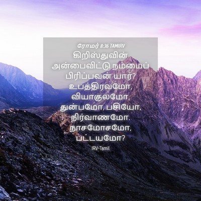 Picture 04 - ரோமர் 8:36 TAMIRV - கிறிஸ்துவின் - Bible Verse Picture