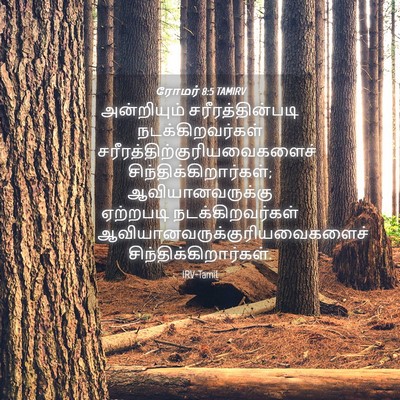 Picture 04 - ரோமர் 8:5 TAMIRV - அன்றியும் - Bible Verse Picture