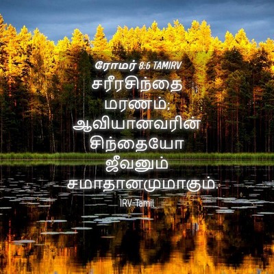 Picture 04 - ரோமர் 8:6 TAMIRV - சரீரசிந்தை மரணம்; - Bible Verse Picture