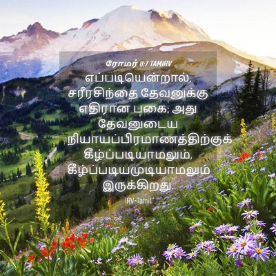 Picture 04 - ரோமர் 8:7 TAMIRV - எப்படியென்றால், - Bible Verse Picture